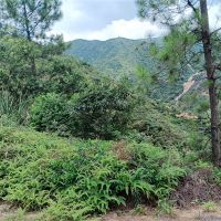 2礦同出！260萬方/年！廣東砂石大礦掛牌出讓