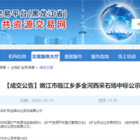 溢價率高達1839%！該地民企競得一建筑用玄武巖